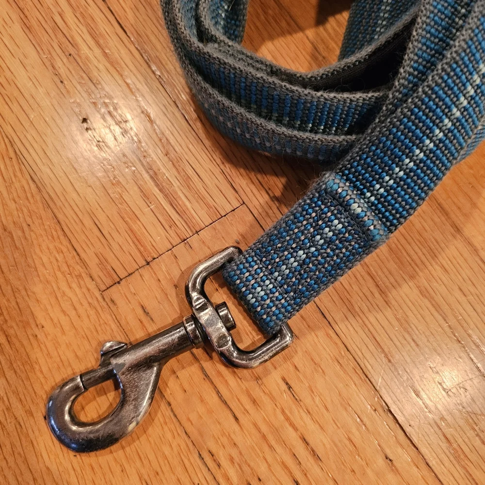 Heavy duty dog leash and ladybug collar